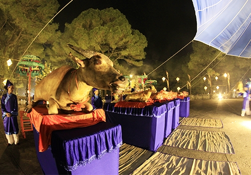 lanh-dao-hue-te-troi-dat-truoc-festival-2