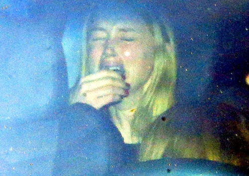 johnny-depp-bi-vo-vua-ly-hon-to-bao-hanh-1