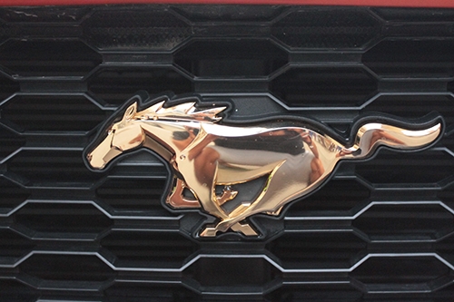 chi-tiet-ford-mustang-do-ham-ho-cua-tay-choi-lao-cai-4