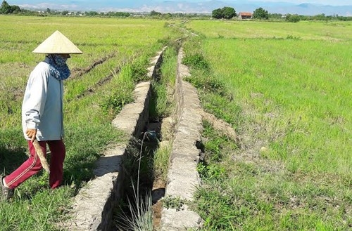 Vụ thi công 28 triệu, khai khống 1 tỷ: ‘Lỗi do tập thể’ - ảnh 1