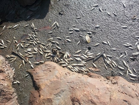 nhiet-dien-xa-nuoc-nong-ra-song