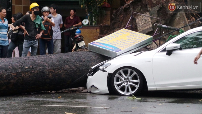 TP. HCM: Cây cổ thụ ngã chắn ngang đường đè nát xế hộp, nam thanh niên bị thương - Ảnh 2.