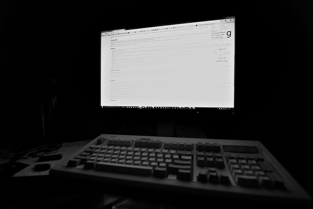 the chien ngam trong long internet den hinh anh 2