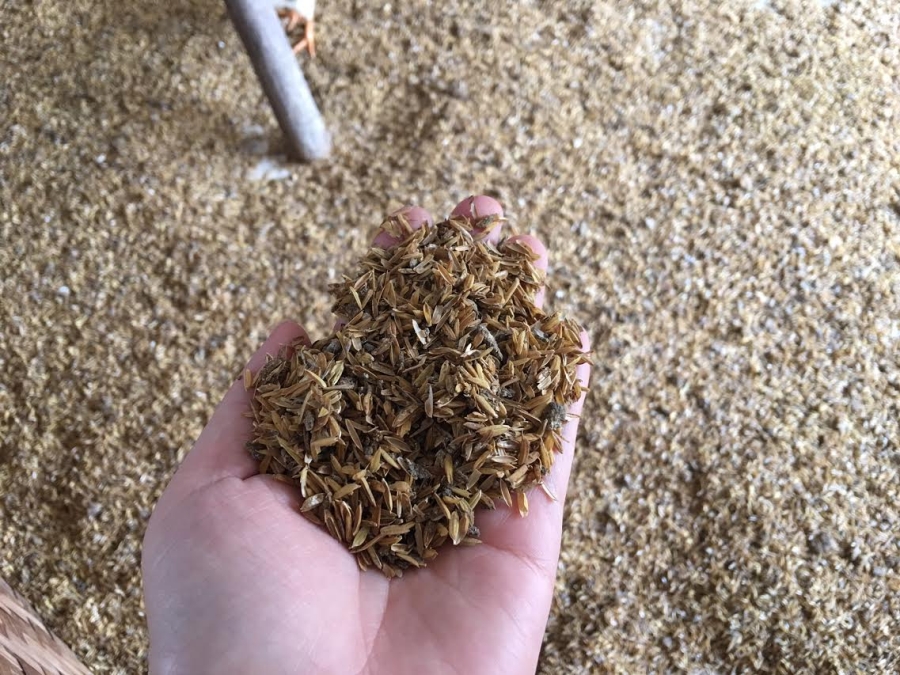 trang trại gà, nuôi gà, trang trại gà không mùi hôi, gà ta vĩnh phúc, gà ta thả vườn, men vi sinh emiser