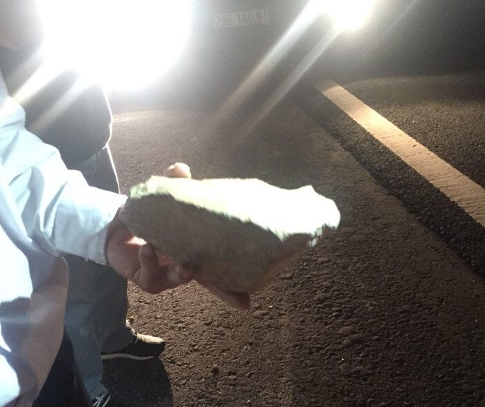 xe khach bat ngo bi nem da tren cao toc ha noi- hai phong hinh anh 2