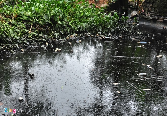 Dan trang tay vi lu 'dau nhot' ap vao nha hinh anh 3