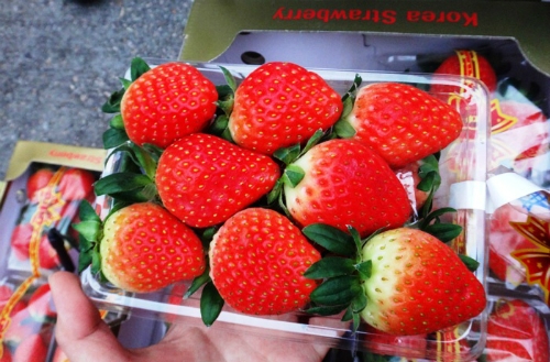 hon-nua-trieu-dong-mot-kg-dau-tay-han-quoc