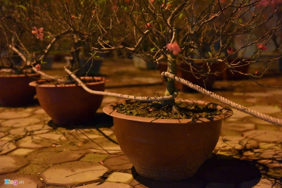 Trang dem trong dao, quat bac ty trong gia lanh 14 do C hinh anh 6