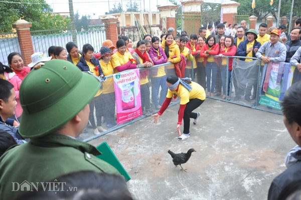 nu bi thu tinh uy ninh binh xuong dong cay lua hinh anh 2