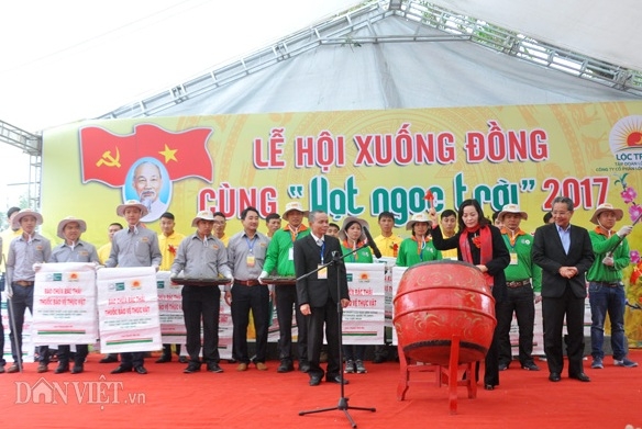 nu bi thu tinh uy ninh binh xuong dong cay lua hinh anh 4