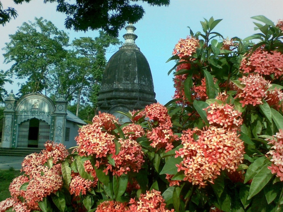 Nhung dia danh nghiem cam phu nu den gan hinh anh 9