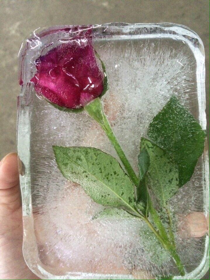 Loat qua tang doc dao duoc dan mang chia se hau 8/3 hinh anh 5