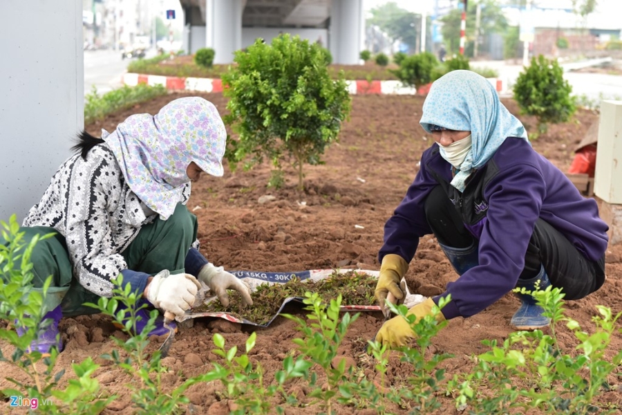 Thong xe cau vuot 160 ty o nut giao Co Linh hinh anh 12