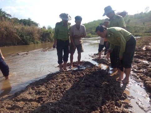 Dấu chân nghi của sói rừng cạnh xác bò mẹ, bê bị móc hết nội tạng - ảnh 4