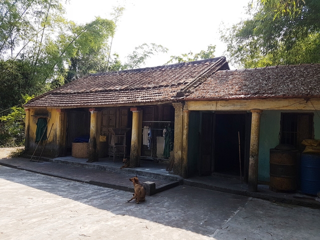 Cây sưa trong khu vườn rộng khoảng 2.000m2 và ngôi nhà cổ của chủ nhân