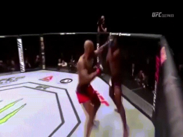 UFC: Võ sĩ tắt thở, trọng tài ngó lơ, 
