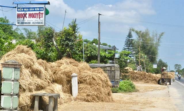Quảng Ngãi: Nhiều người tranh mua, rơm 