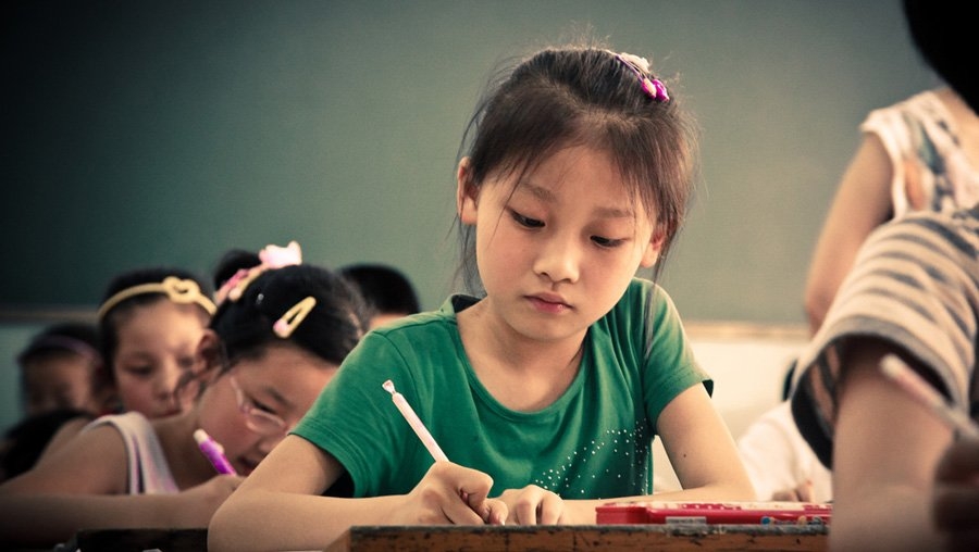 homeschool, học tại nhà, giáo dục Việt Nam, bệnh thành tích homeschool, học tại nhà, giáo dục Việt Nam, bệnh thành tích