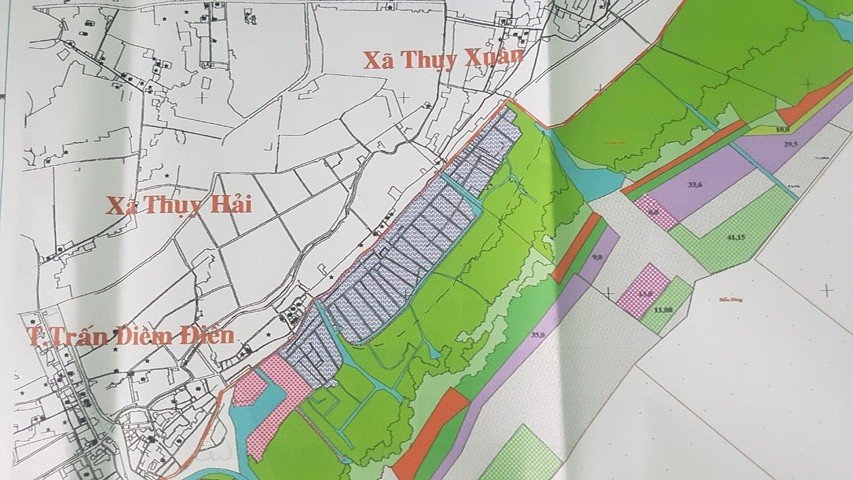 chặt phá rừng, Thái Bình xin phá rừng, Thái Bình