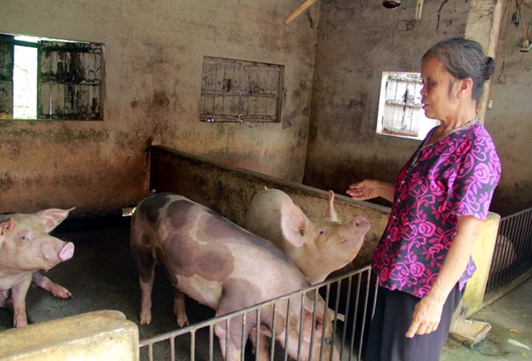 Hà Nội: Gặp người phụ nữ bị tiểu thương chợ Tân Lập đòi ném thịt lợn xuống ao - Ảnh 2.