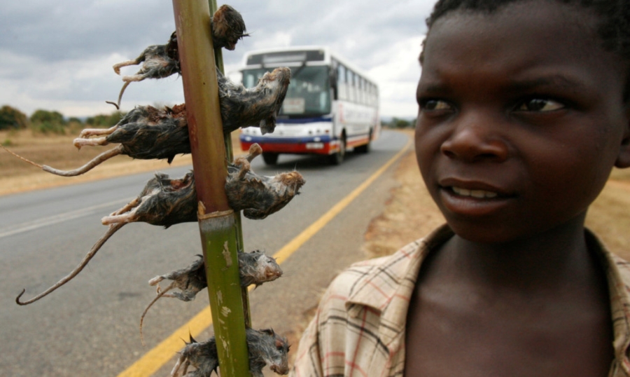 Nhung dac san ky di tren the gioi hinh anh 3