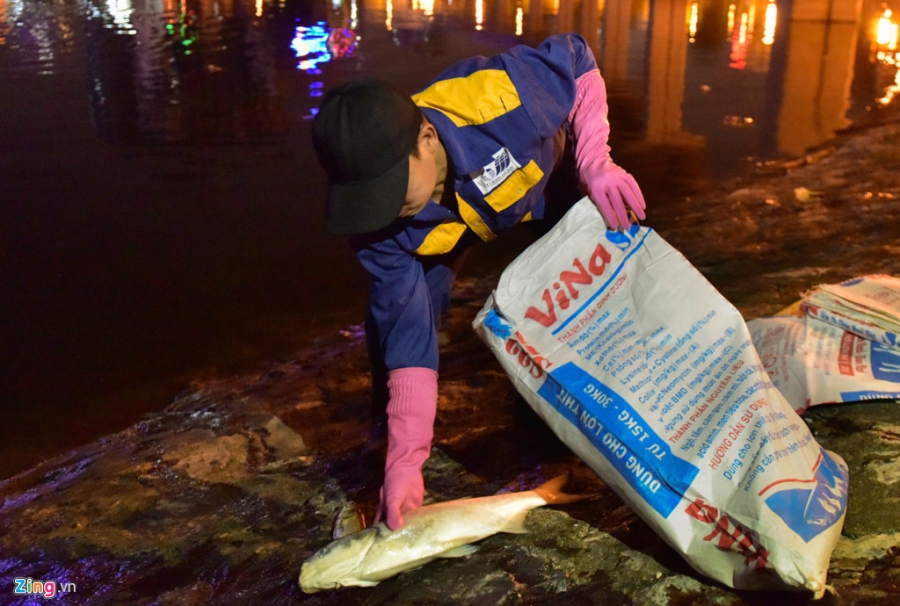 Trang dem vot ca chet o ho Hoang Cau hinh anh 4