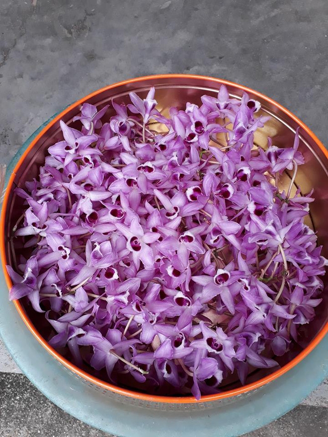 Giận chồng mê hoa hơn vợ, cô gái ghen tức vặt trụi chậu phong lan xinh đẹp của chồng - Ảnh 3. Giận chồng mê hoa hơn vợ, cô gái ghen tức vặt trụi chậu phong lan xinh đẹp của chồng - Ảnh 3.