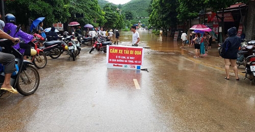 son la: bac tin don ca sau xuat hien trong mua lũ tai muong la hinh anh 2