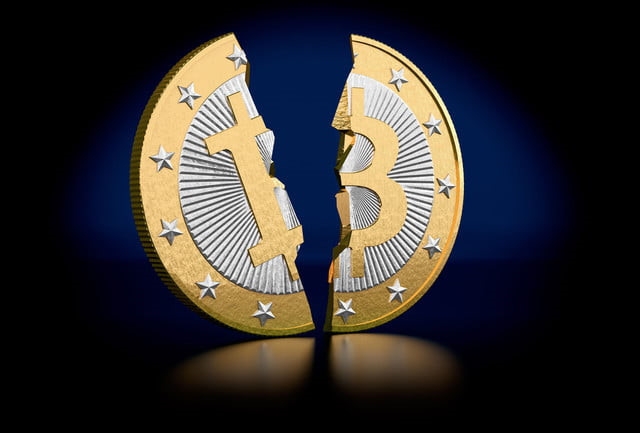 Trieu phu Bitcoin: Tien roi vao dau, du lich 4 nam rong khong het hinh anh 2