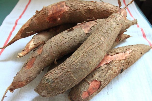 độc tố, thực phẩm chứa độc tố, chế biến thực phẩm