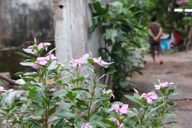 Nỗi hoang mang của người dân tại cù lao sắp bị giải tỏa ở Sài Gòn - Ảnh 16.