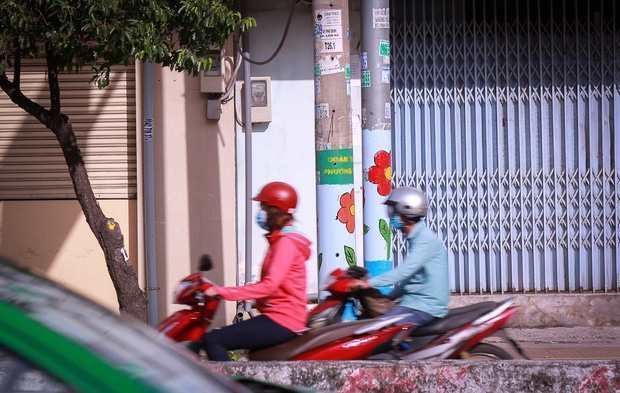 Người dân thích thú khi hơn 100 cột điện, cột đèn ở Sài Gòn bỗng nở hoa - Ảnh 13.