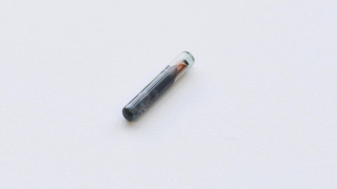 Biến bàn tay thành chìa khoá vạn năng - 3