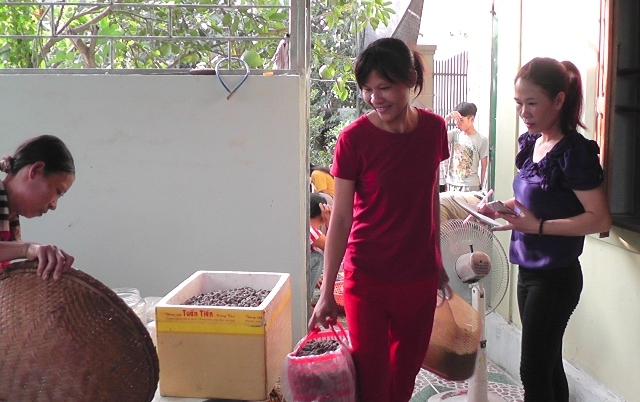 dỏ xo len rùng hái sim, dút túi 700.000 dong/ngay hinh anh 7