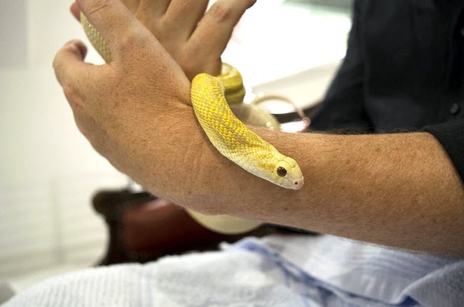 ron nguoi voi quan ca phe ran o nhat ban hinh anh 12