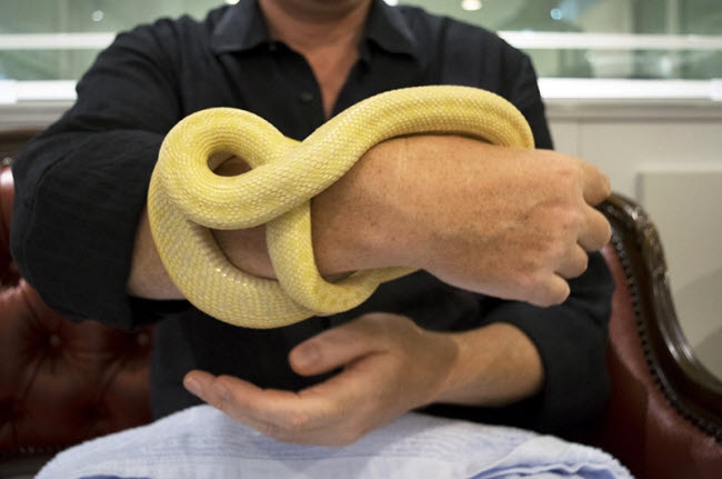 ron nguoi voi quan ca phe ran o nhat ban hinh anh 15