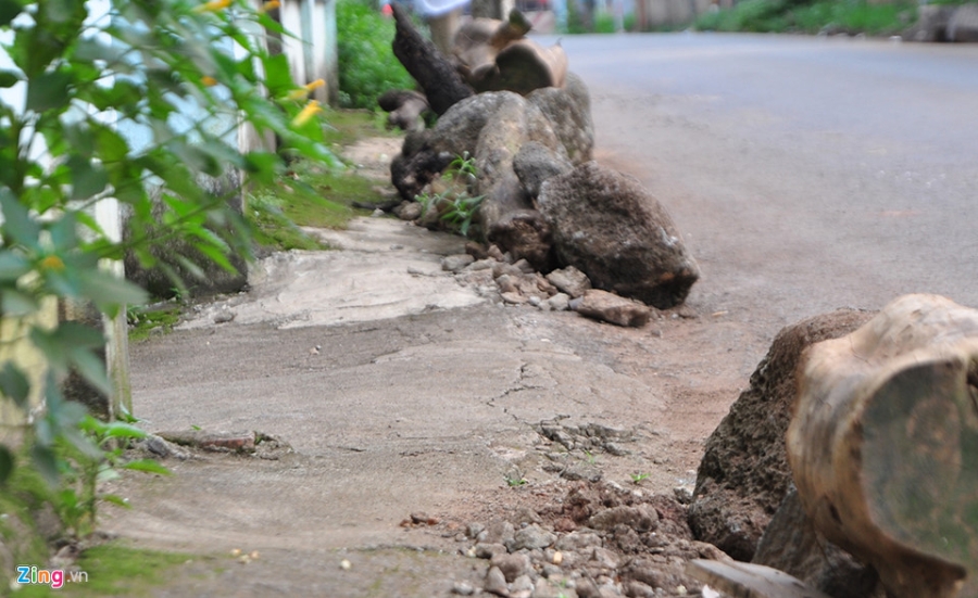Dan lan da ra duong chan oto ne tram BOT hinh anh 5