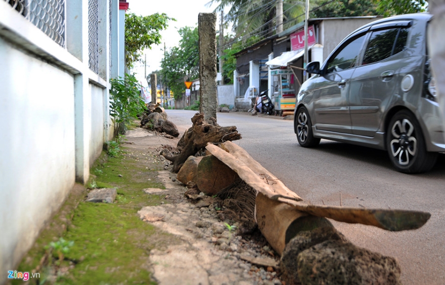 Dan lan da ra duong chan oto ne tram BOT hinh anh 7