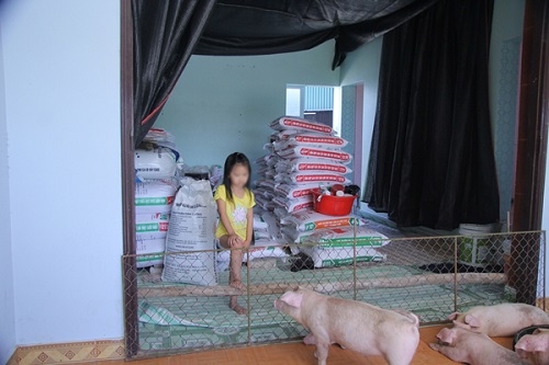 chuyen la o hung yen: lon len nha nam, nguoi xuong kho o hinh anh 3