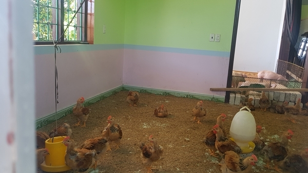 chuyen la o hung yen: lon len nha nam, nguoi xuong kho o hinh anh 4