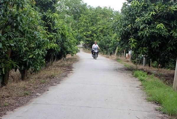Trục lợi ngân sách, Phó chủ tịch, Cao Lãnh, Đồng Tháp, Sai phạm