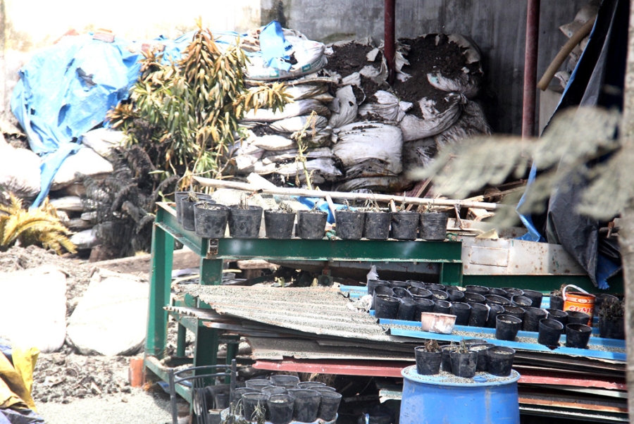 Ben trong cong ty sang chiet lam ro ri khi amoniac o Sai Gon hinh anh 6