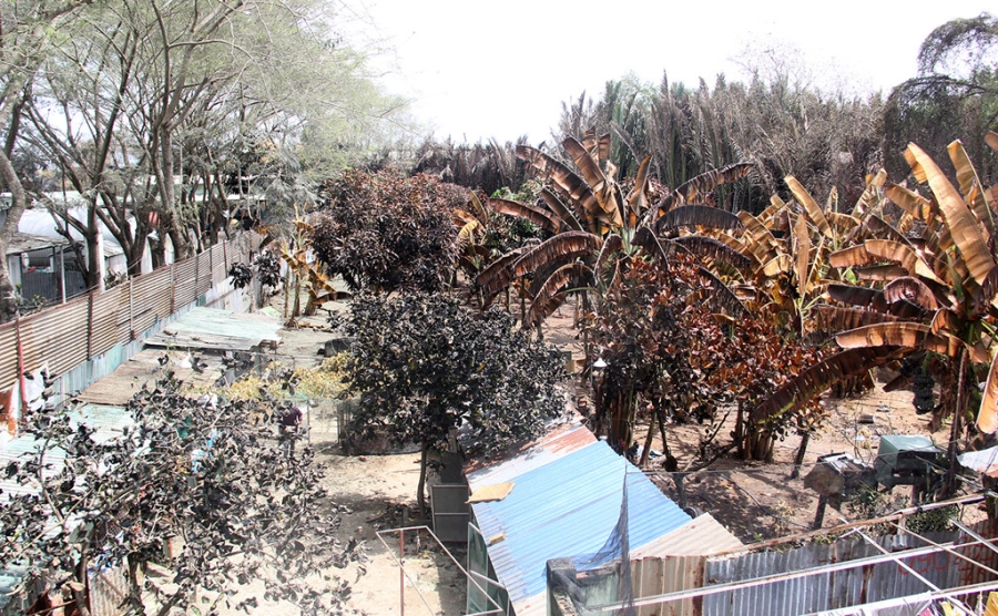 Ben trong cong ty sang chiet lam ro ri khi amoniac o Sai Gon hinh anh 8