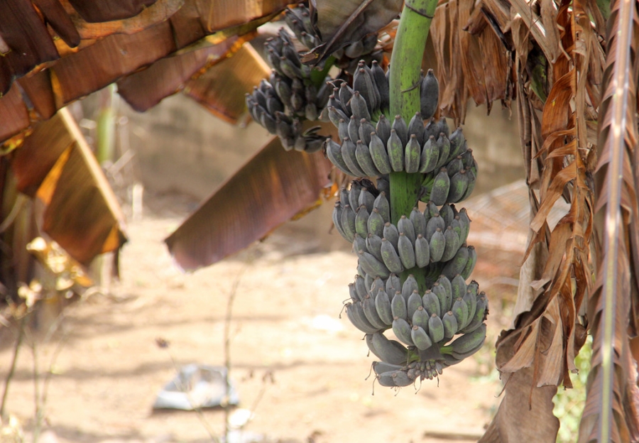 Ben trong cong ty sang chiet lam ro ri khi amoniac o Sai Gon hinh anh 9