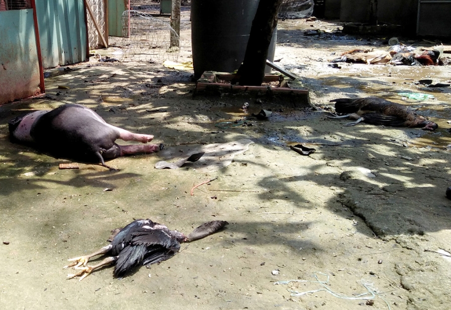 Ben trong cong ty sang chiet lam ro ri khi amoniac o Sai Gon hinh anh 10