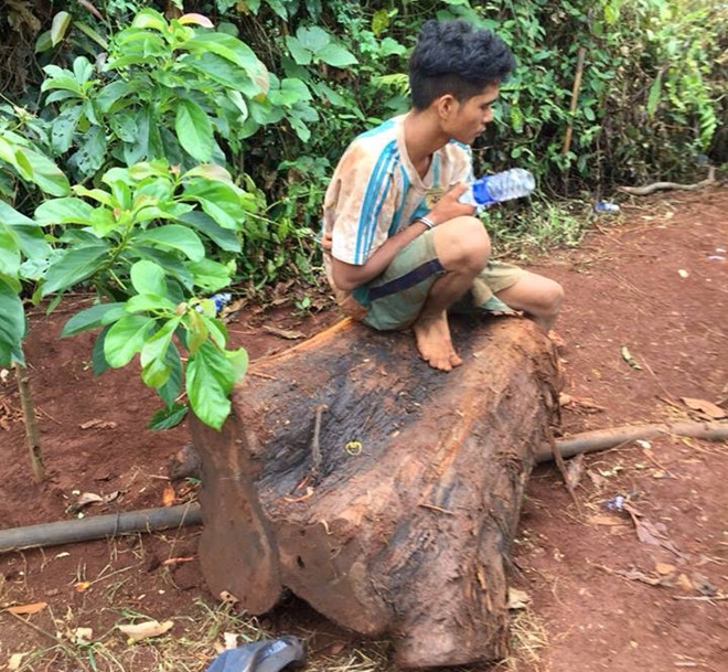 7 thanh nien trom thuy tung hon 500 tuoi ban hinh anh 2