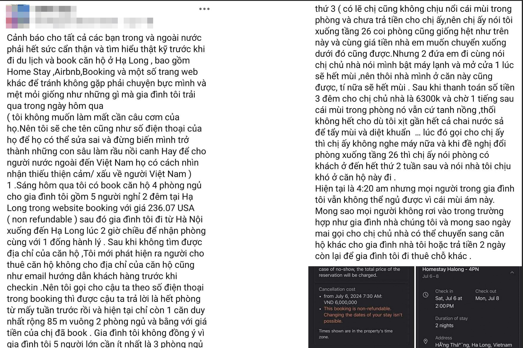 Một phần bài đăng của nữ Việt kiều