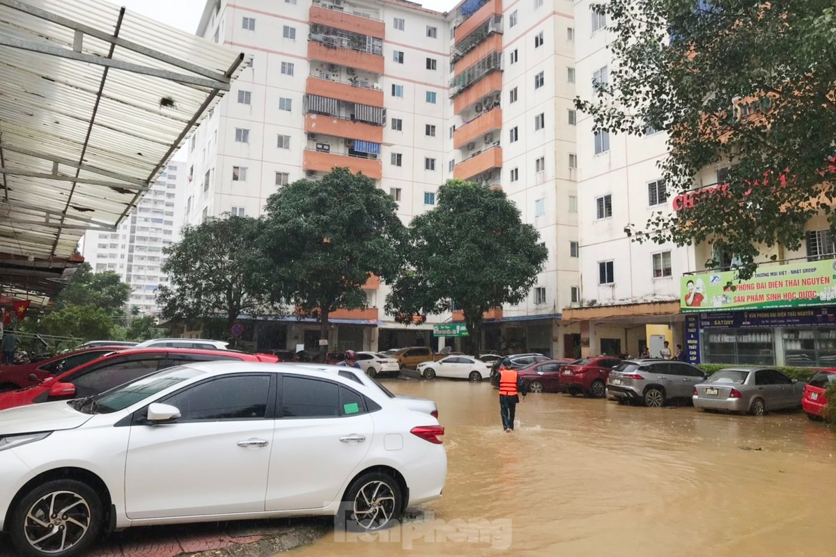 Sáng 11/9, những chiếc xe hơi
