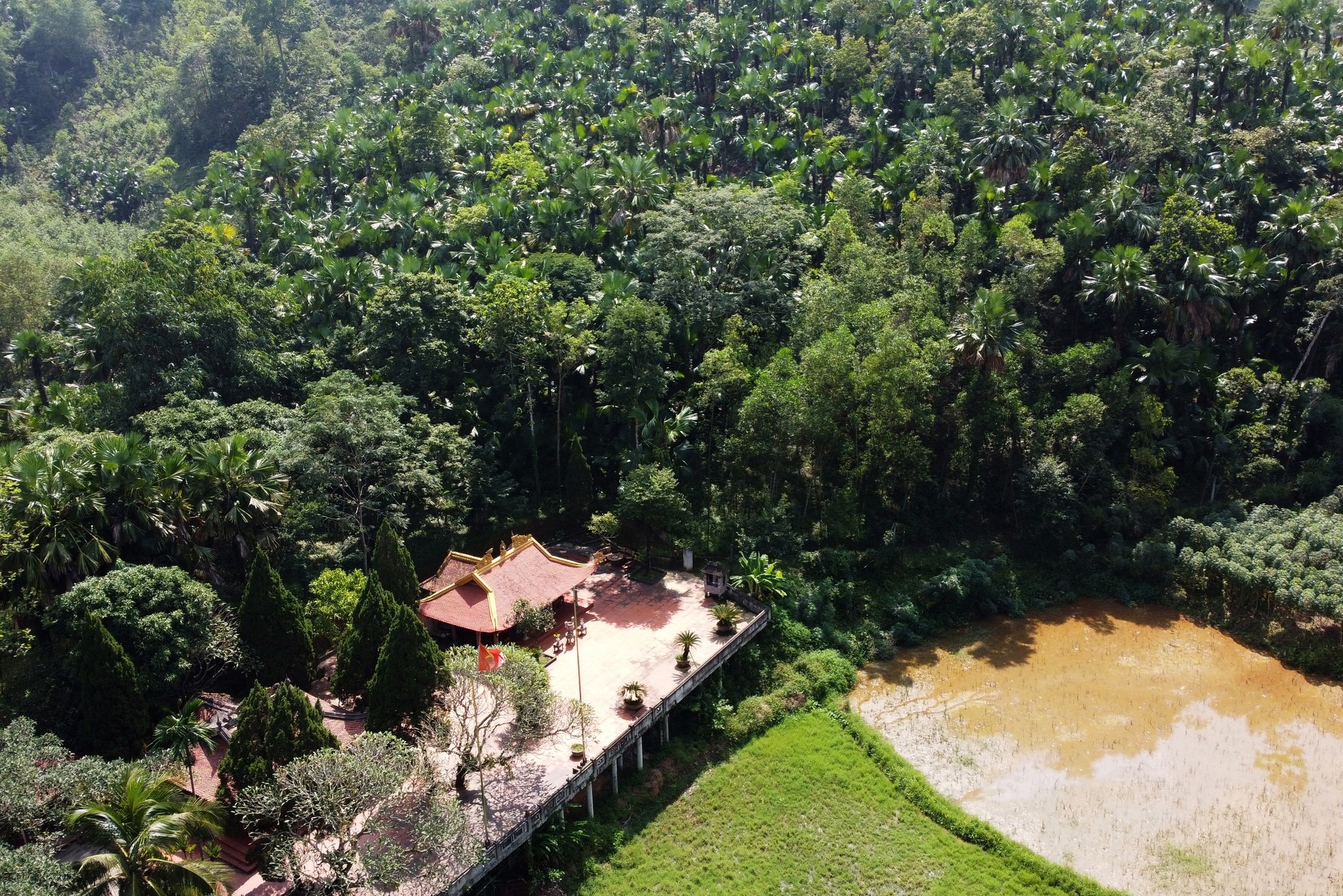 Đền Năng Yên, trung tâm tinh thần của vùng đất này, cùng liền kề rừng cọ được người dân nơi đây đánh giá là lâu đời và đẹp nhất.