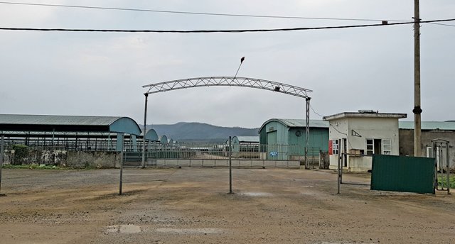 Bắt nguyên TGĐ Cty Bình Hà, hé lộ siêu dự án đầu voi đuôi chuột